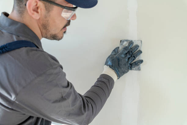 Best Fire-Damaged Drywall Repair  in East Bronson, FL